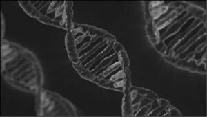 Il genoma umano contiene tre miliardi di basi di DNA